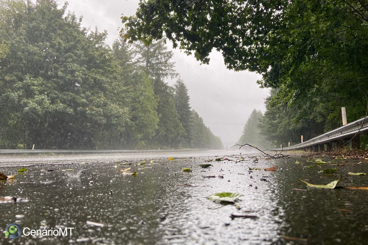 CLIMA E TEMPO: Chuva intensa no Centro-Oeste impulsiona agricultura com índices impressionantes