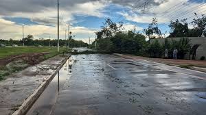 Mais de 2 mil casas ficam sem energia após queda de árvores e postes durante chuva com vento