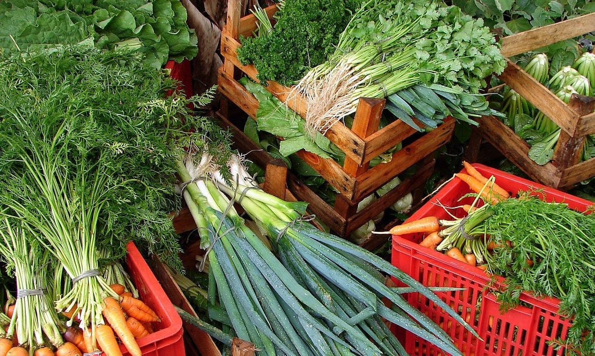 REPORTAGEM ESPECIAL: Desperdício de Alimentos, compartilhamento de embalagens ajuda produtores a reduzir perdas