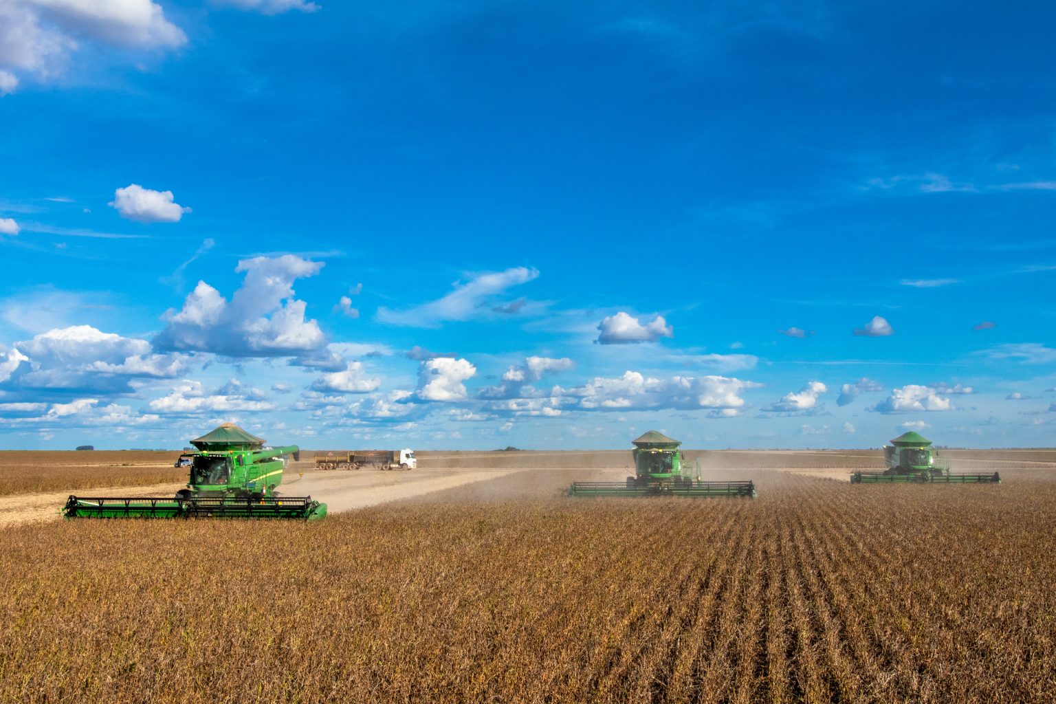 SEMANA DA COMMODITY: O momento do preço doméstico é ideal para negociar a soja, diz analista.