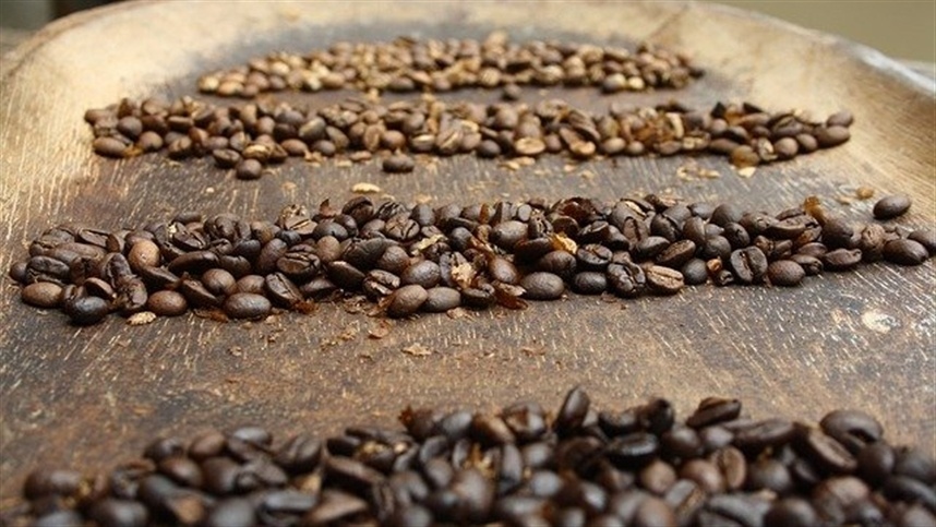 Café moído, tangerina e carne bovina lideram alta de preços