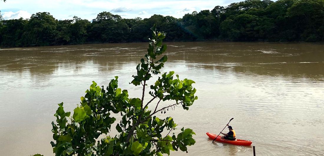 MEIO AMBIENTE: Mato Grosso possui 12 comitês de bacias hidrográficas e secretaria planeja repasse de R$ 550 mil