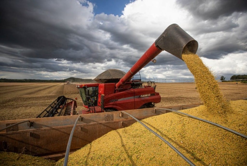 Criminosos usam empresa agrícola e aplicam golpes de R$ 1,2 milhão em produtores de soja em MT