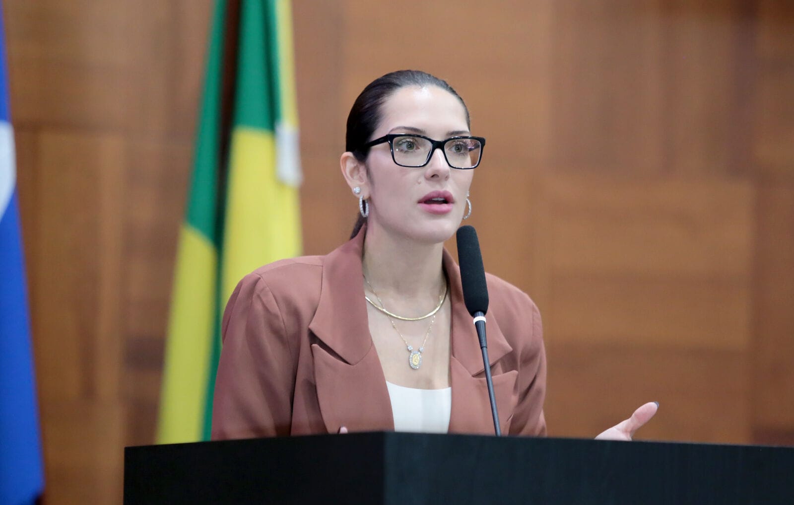 Deputada apresenta PEC para garantir pagamento de emendas à saúde