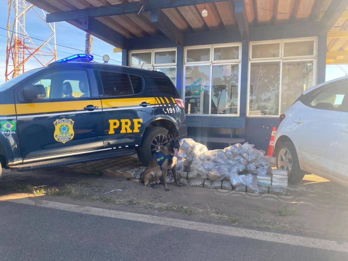Motorista é preso pela PRF com 84 kg de drogas em HB 20 na rodovia BR-364