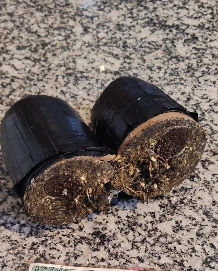 Oito visitantes são flagrados com produtos ilícitos na Penitenciária Central do Estado