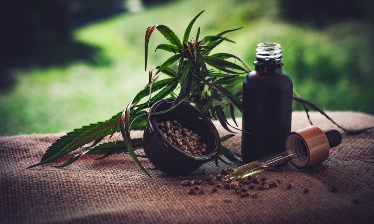 Justiça libera plantio de maconha em casa para tratamento de paciente tetraplégico em MT