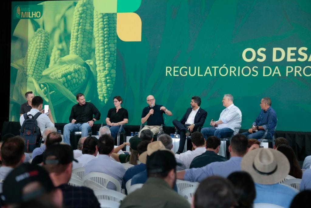 Líder nacional, Mato Grosso dá início à colheita da segunda safra nacional de milho