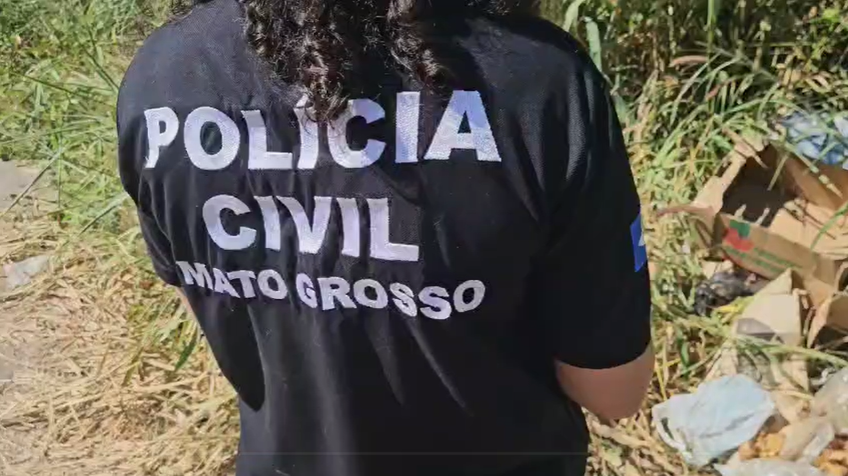 Mulher é presa por maus-tratos a gatos em Cuiabá; um foi encontrado morto perto da casa dela