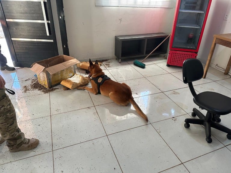 PF deflagra operação contra tráfico e lavagem de R$ 150 milhões, e prende dois no aeroporto de VG