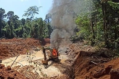 Quatro caciques são denunciados pelo MPF por garimpo ilegal e extração de madeira em MT