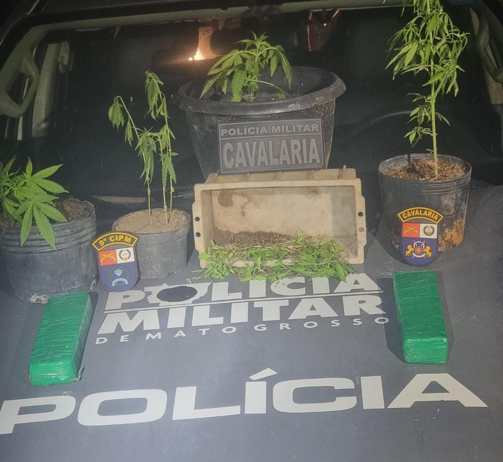 Cavalaria prende dois homens com tabletes e pés de maconha em Alto Paraguai