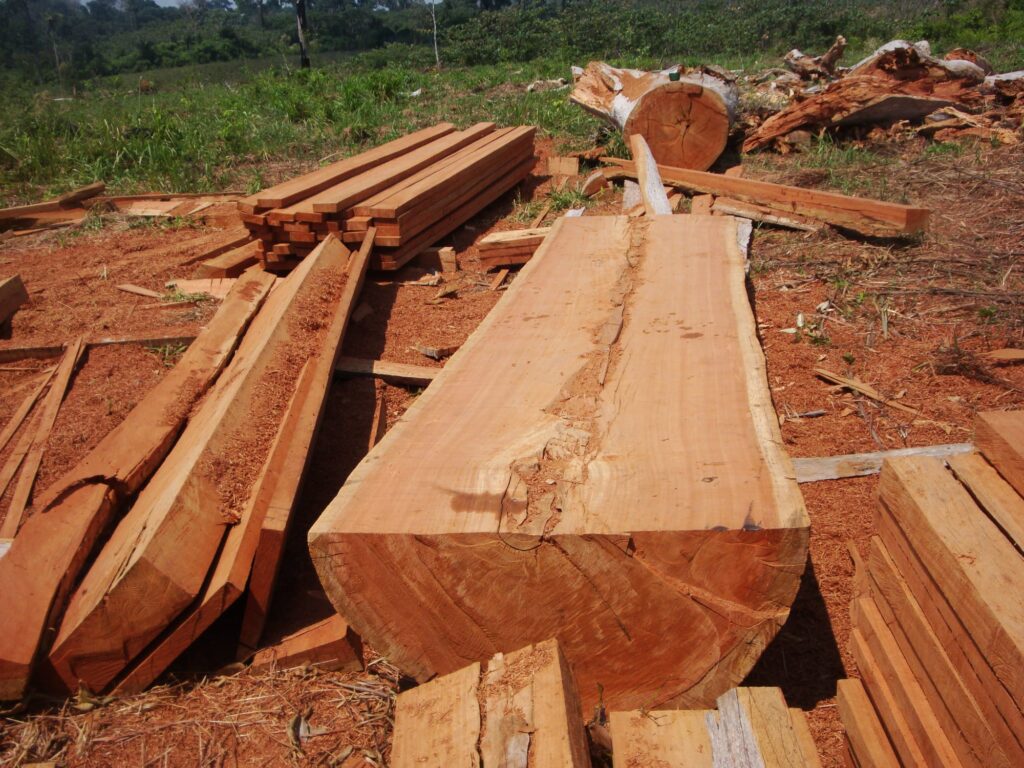 Empresários são alvos da PC por armazenamento ilegal de madeira em Mato Grosso