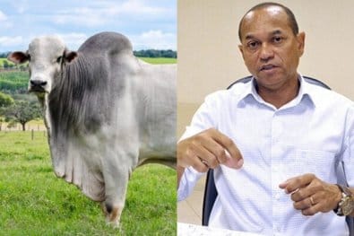 Ex-candidato a prefeito em MT é atingido por boi em sítio e passa por cirurgia de emergência