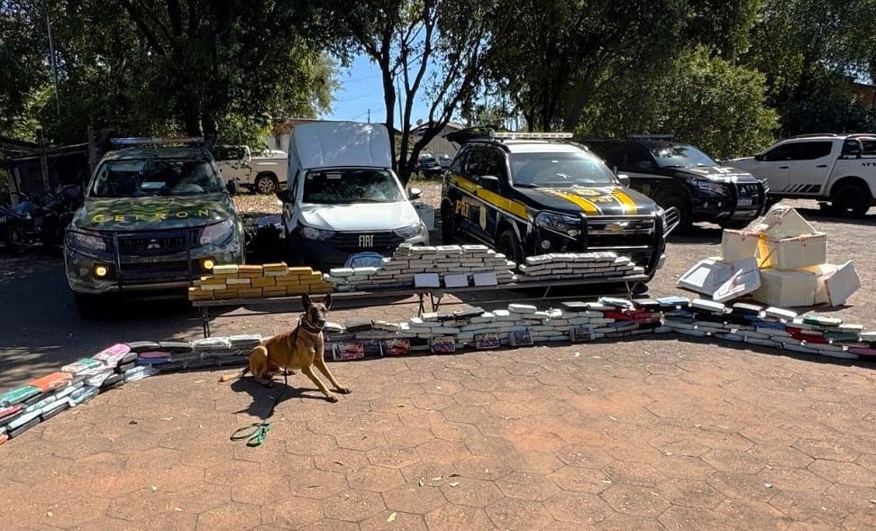 Gefron e PRF apreendem 280 quilos de drogas com auxílio de cão farejador