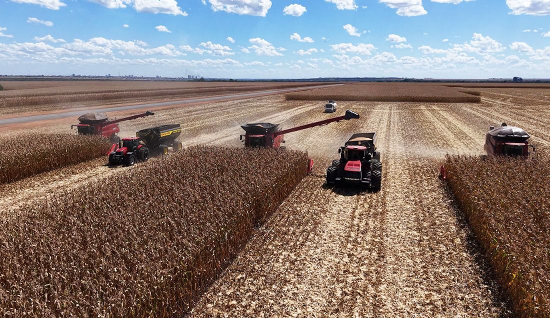 Mato Grosso puxa alta na estimativa de produção agrícola e consolida liderança nacional