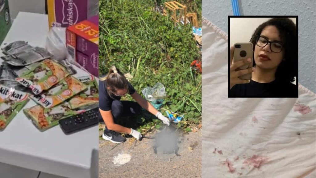 MP defende que jovem acusada de matar gatos siga presa e quer ONG como colaboradora no processo