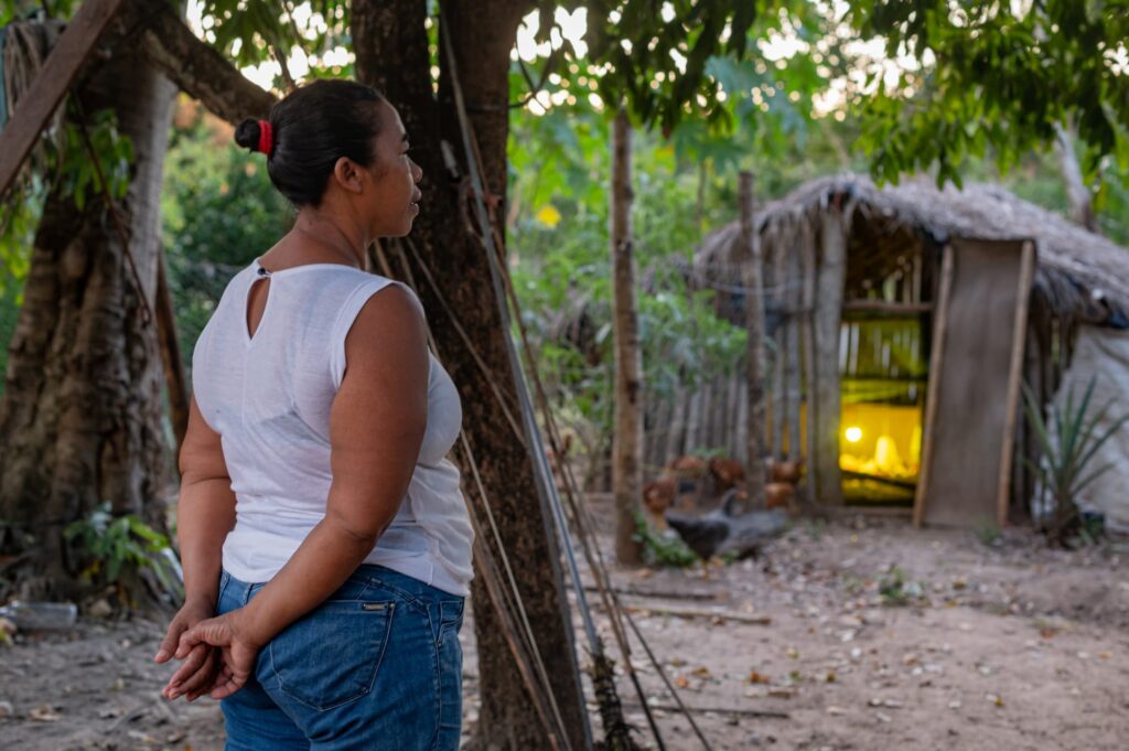 MT abre edital de seleção para agricultores familiares acessarem recursos