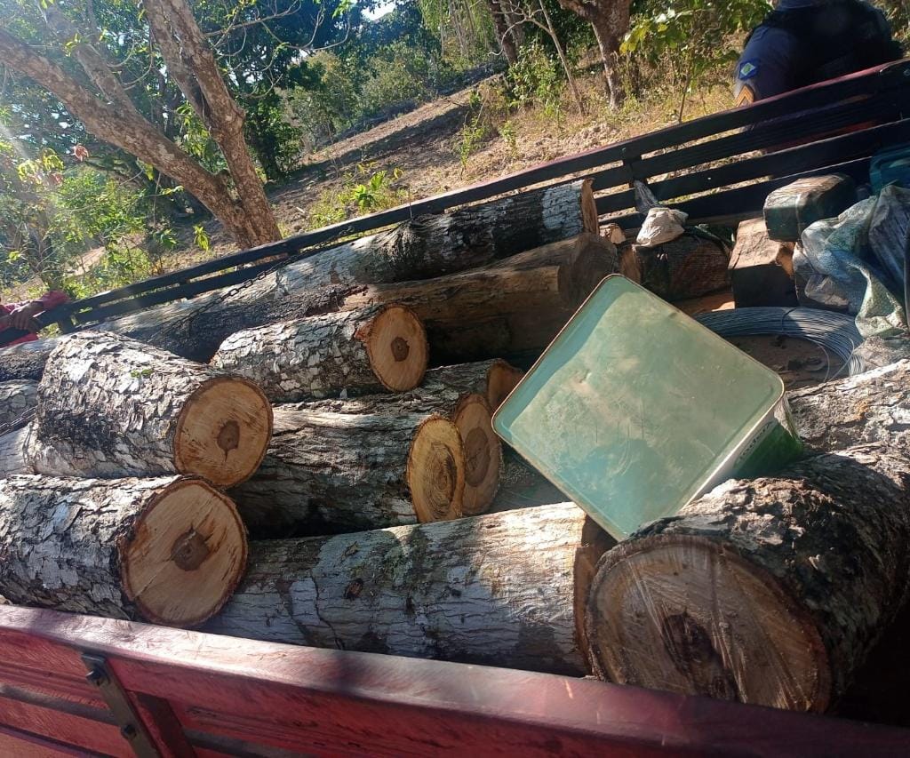 Operação da Sema e PM na Baixada Cuiabana apreende veículos, equipamentos e gado