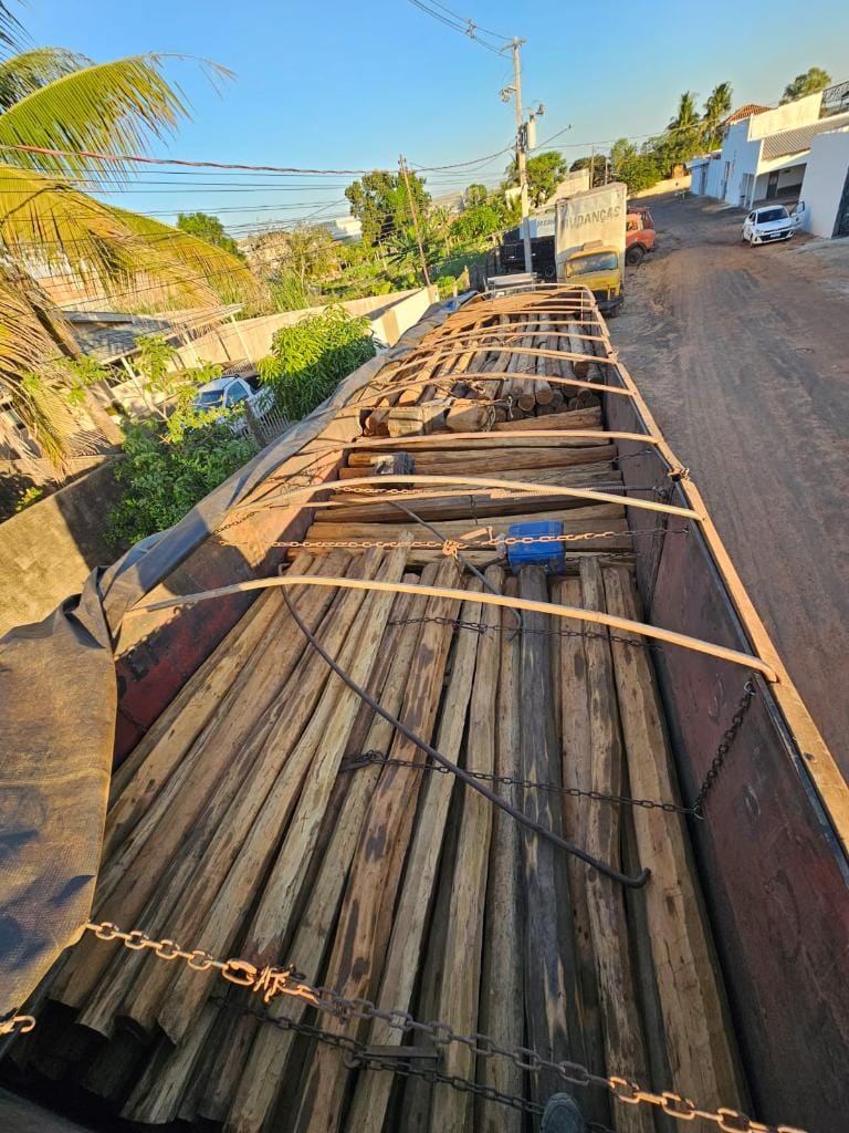 PC intensifica combate ao transporte ilegal de madeira entre Mato Grosso e Rondônia