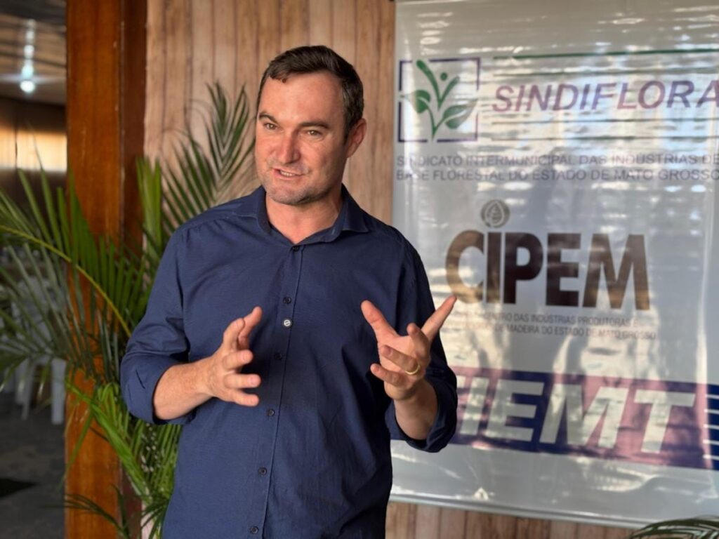 Possível taxação dos EUA ameaça exportações de madeira de Mato Grosso