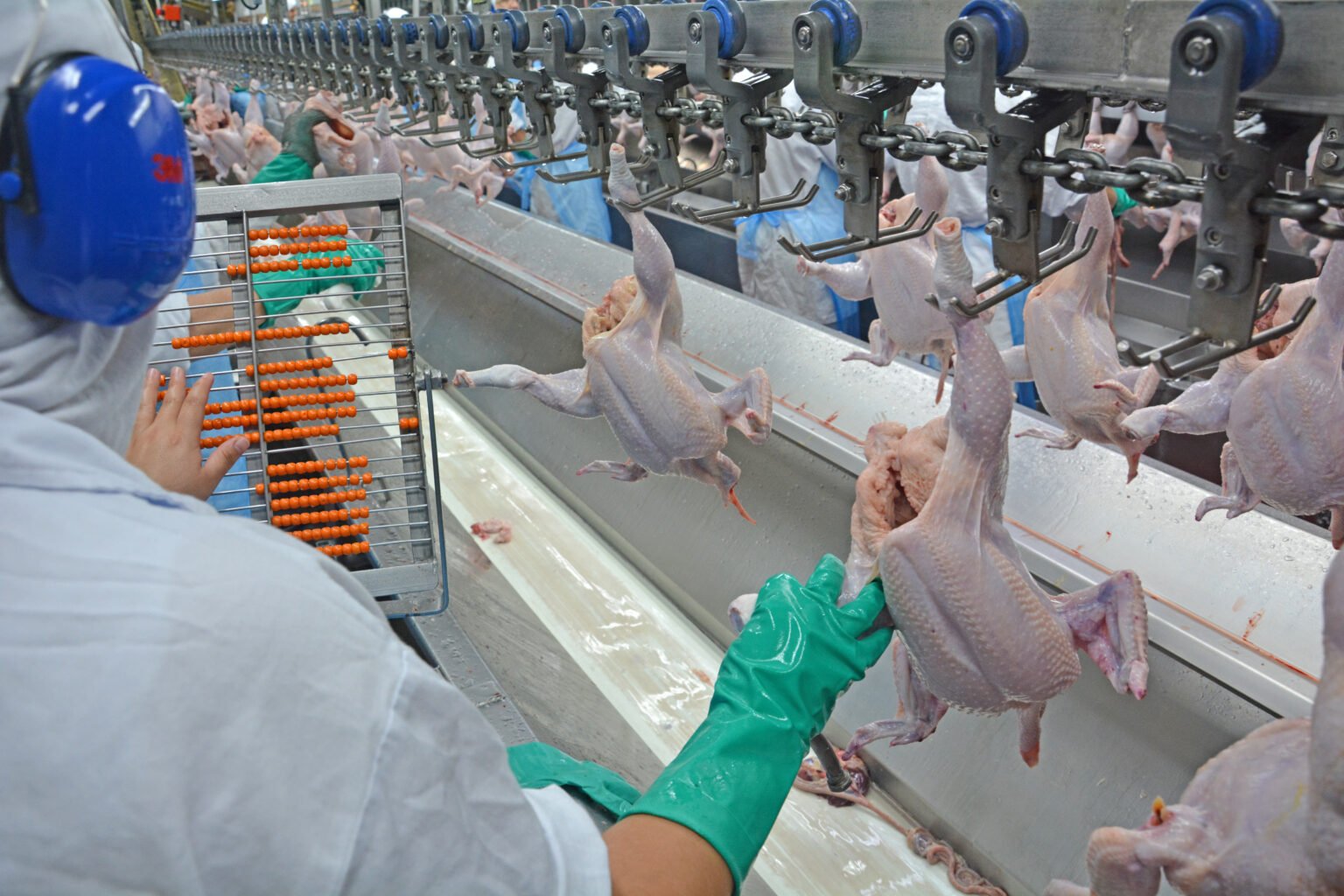 Gripe aviária: mais 7 países retomam importação de frango brasileiro