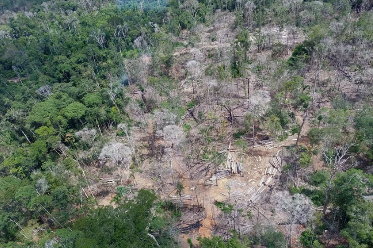 STJ determina que ‘barões do agro’ paguem multa social por desmate na Amazônia de MT
