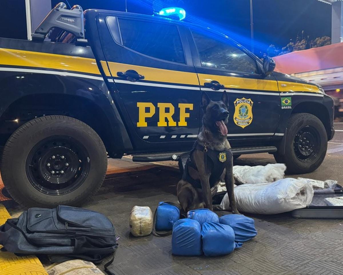 Trio é preso em ônibus na rodovia BR-364 com 18 kg de supermaconha na bagagem