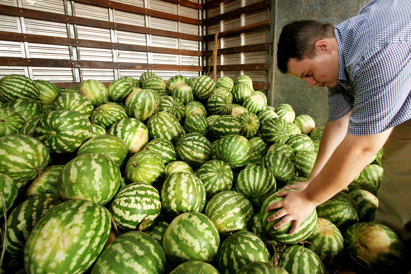  Melancia e Coco verde lideram custo-benefício na venda por atacado, revela boletim do ProHort