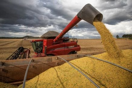 Cade determina suspensão da moratória da soja e abre investigação contra tradings
