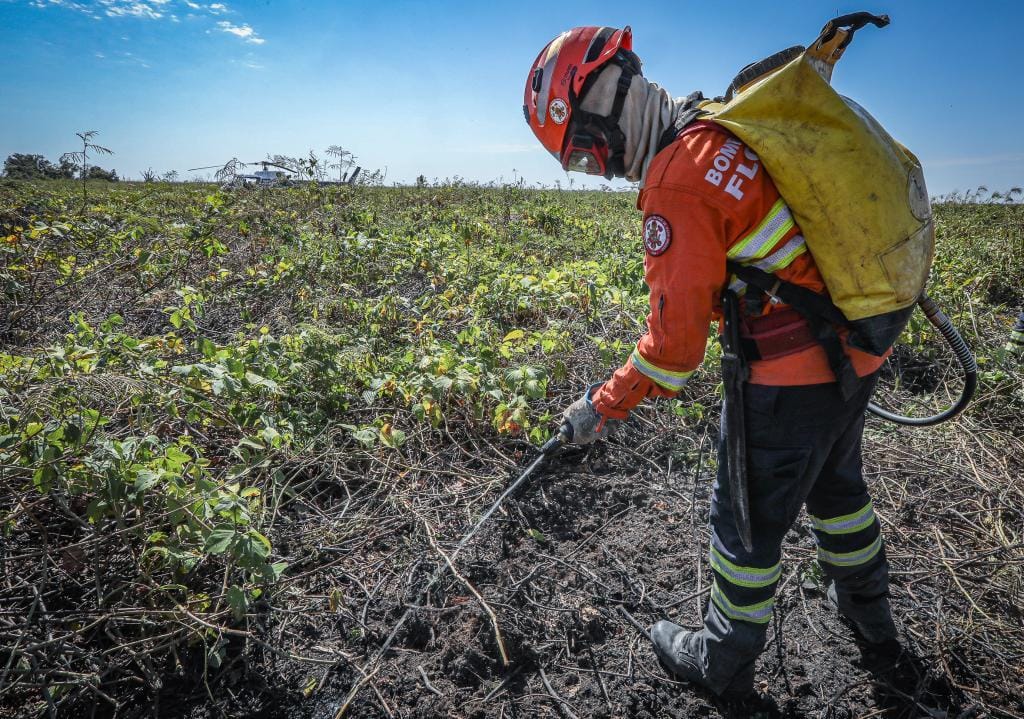 Corpo de Bombeiros combate 7 incêndios florestais em Mato Grosso nesta terça-feira