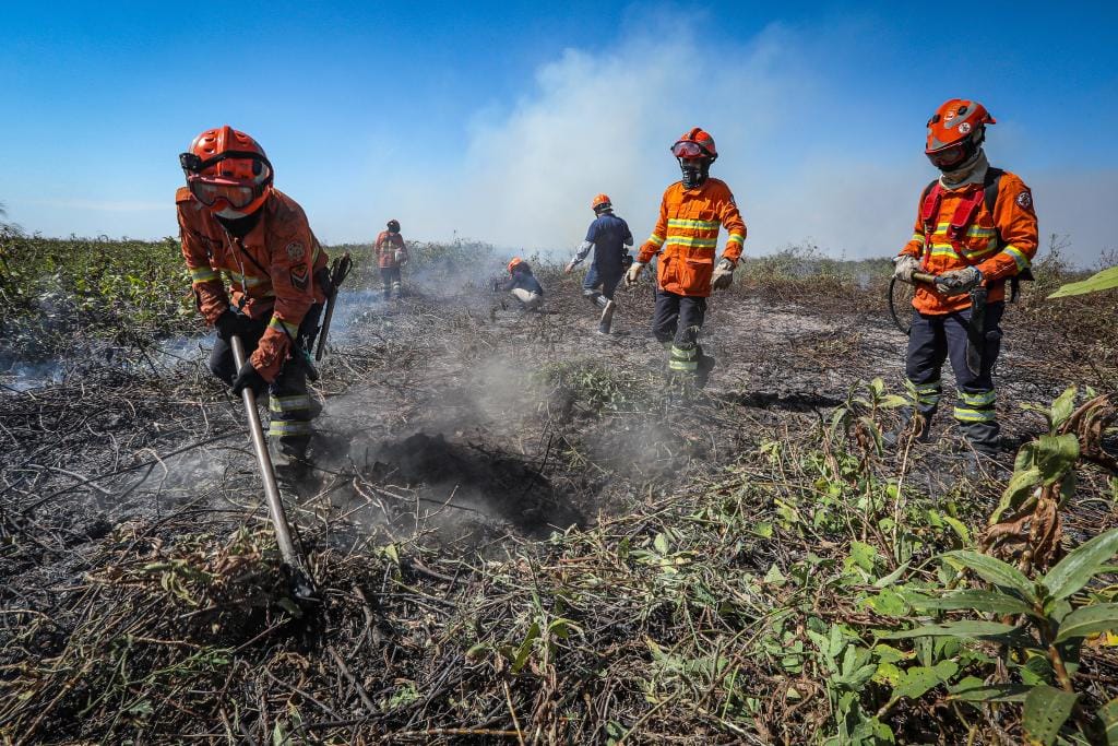 Corpo de Bombeiros combatem 2 incêndios florestais nesta segunda-feira