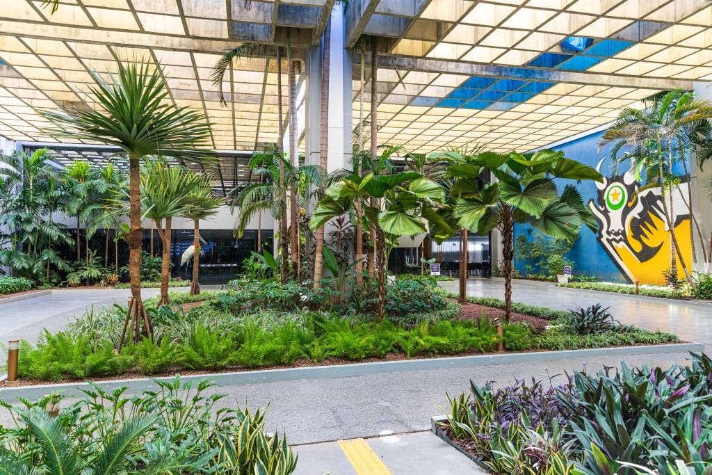 Decreto fixa limite de 35% e atendimento presencial para evitar golpes nos servidores; confira as regras