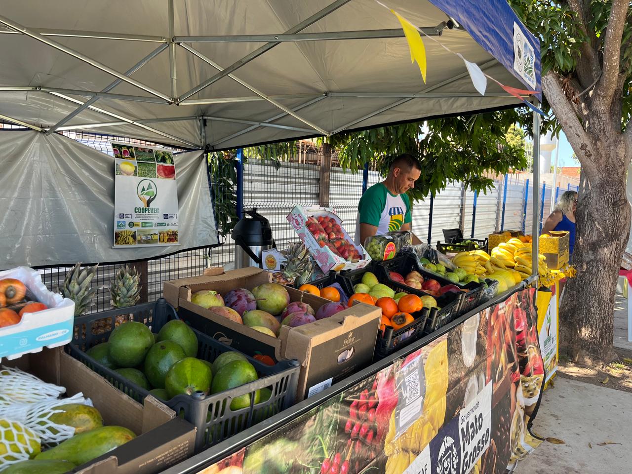  Feiras impulsionam renda e fortalecem agricultura familiar em MT