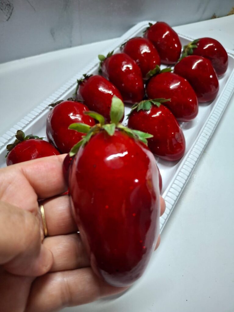 Festival do Chocolate começa nesta sexta-feira em Cuiabá