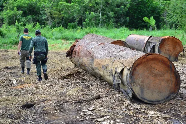 Justiça recupera R$ 5,7 milhões em multas ambientais para Mato Grosso
