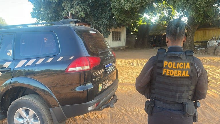 Madeireiras são alvos da PF por receptação de madeira extraída de terra indígena em MT