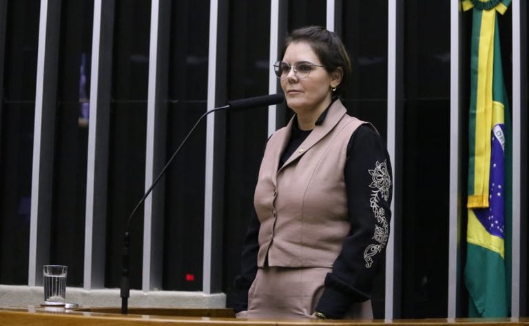 Moratória da soja é suspensa pelo CADE após denúncia da deputada Coronel Fernanda