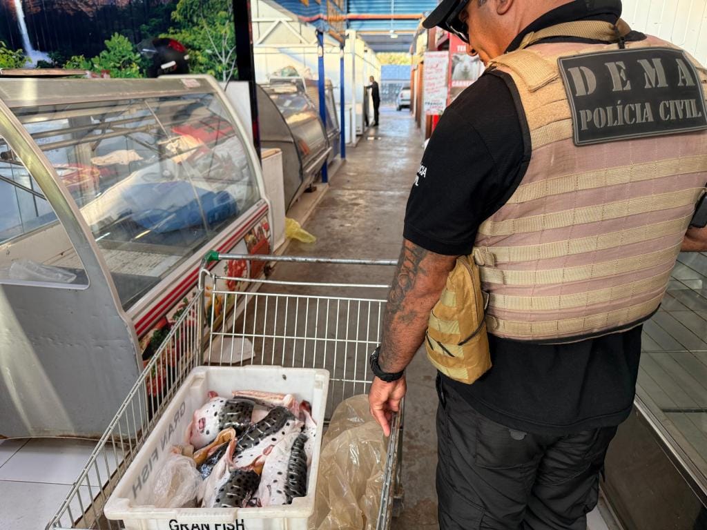 Operação policial combate comércio ilegal na Feira do Porto e apreende três toneladas de pescado