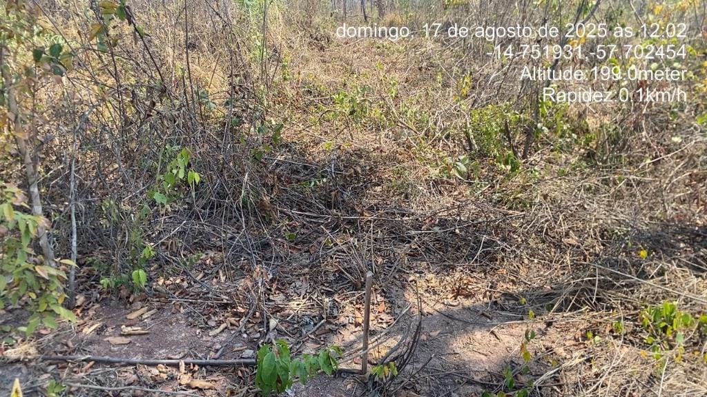 PM prende cinco pessoas por desmatamento ilegal em área de reserva ambiental
