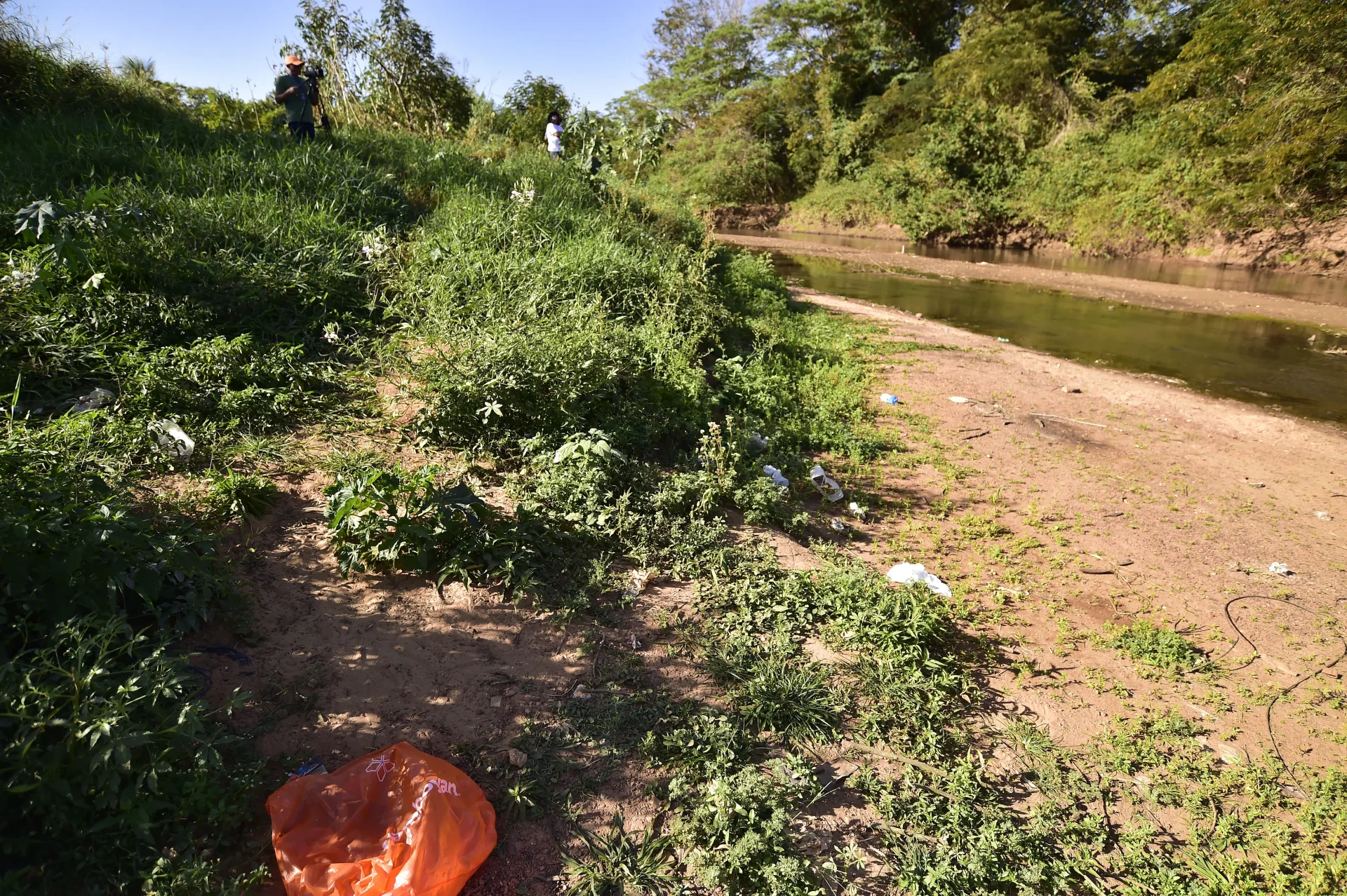 RONDONOPOLIS: Arareau em Foco: Justiça e comunidade se unem para revitalizar rio com plantio de 650 mudas e grande limpeza