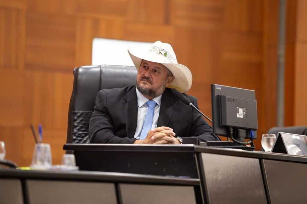 Assembleia Legislativa aprova comissão temporária contra o feminicídio em Mato Grosso