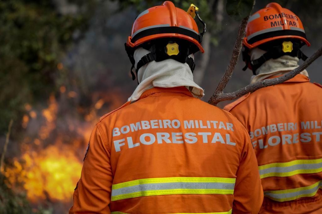 Corpo de Bombeiros combate 41 incêndios florestais neste sábado em várias regiões