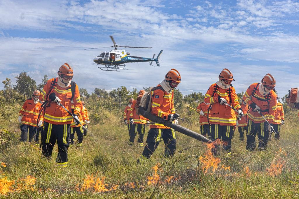 Corpo de Bombeiros combate oito incêndios florestais neste sábado em Mato Grosso