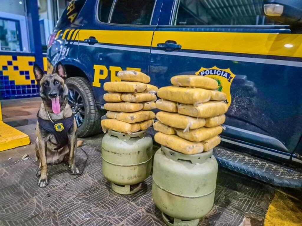 Dois são presos transportando drogas dentro de botijão de gás em ônibus coletivo