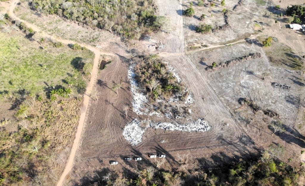 Operação integrada identifica queimada ilegal no Pantanal e multa infrator em R$ 20 mil