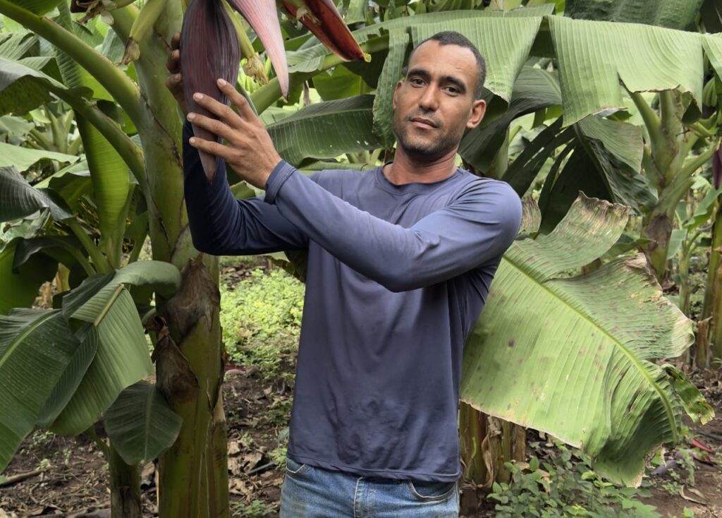 Pequenos agricultores podem receber até R$ 28 mil por ações que preservem floresta