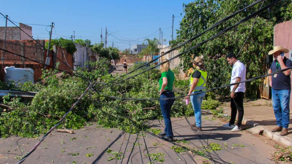 Prefeita decreta situação de emergência após temporal com ventos de até 100 kg atingir 100 famílias
