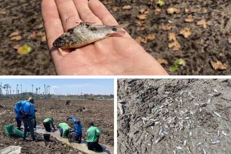 Relatório técnico do MP aponta risco estrutural e ambiental, e recomenda desativação de usina em MT
