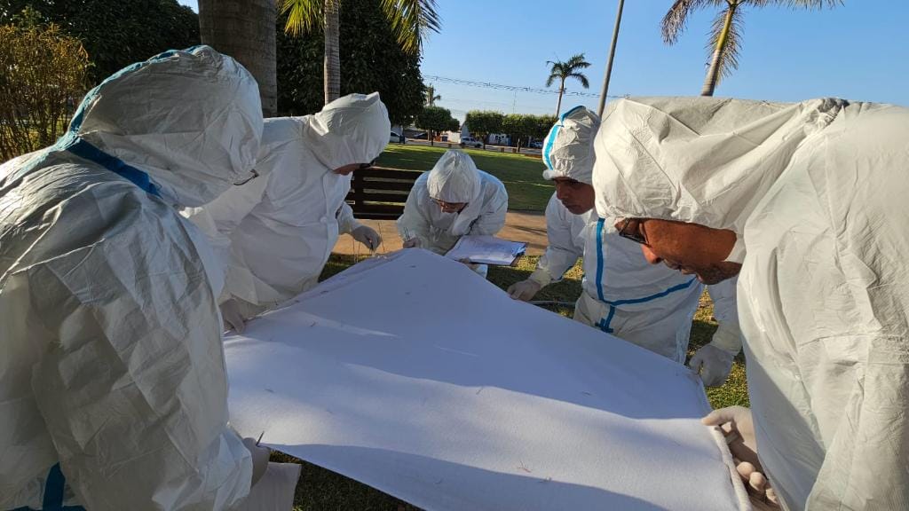 SES investiga de casos de dermatite e identifica ácaro em praças, parques e pistas